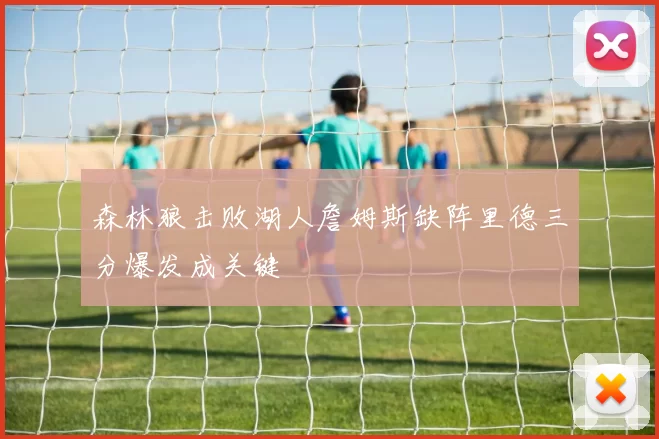 森林狼击败湖人詹姆斯缺阵里德三分爆发成关键